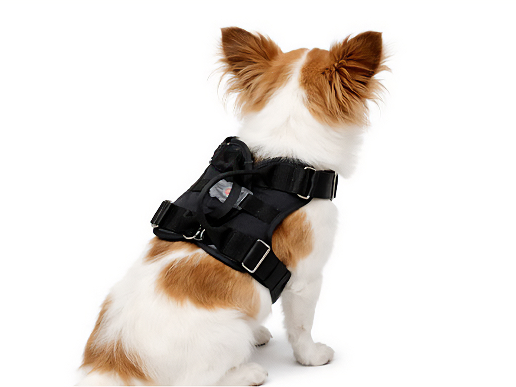 Arnés Ajustable Con Luz Talla S